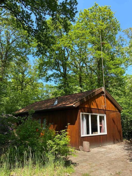 Basic Natuurhuisje Ommen/Beerze Villa Exterior photo