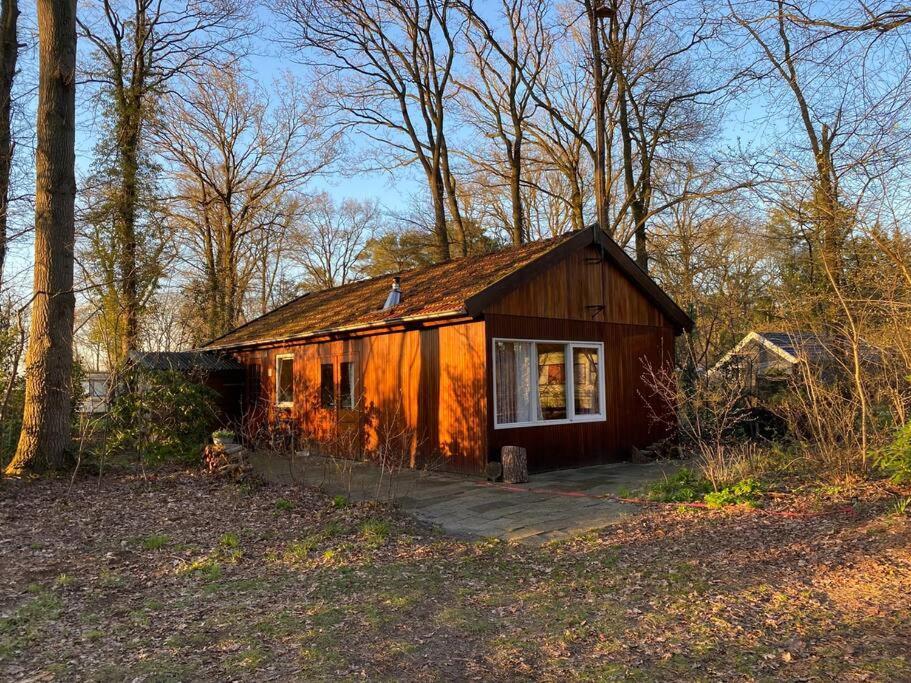 Basic Natuurhuisje Ommen/Beerze Villa Exterior photo